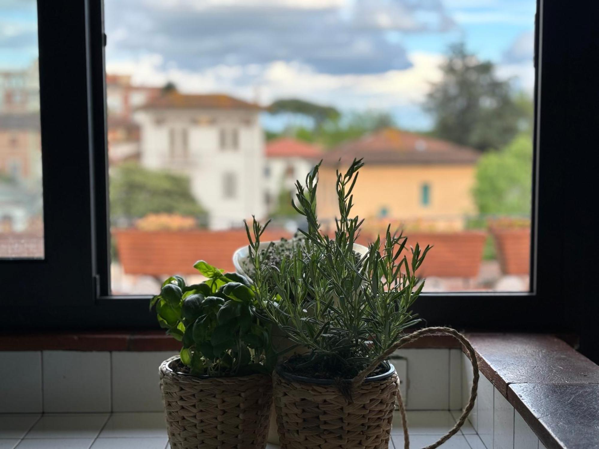 Lovely Apartment Лукка Екстер'єр фото